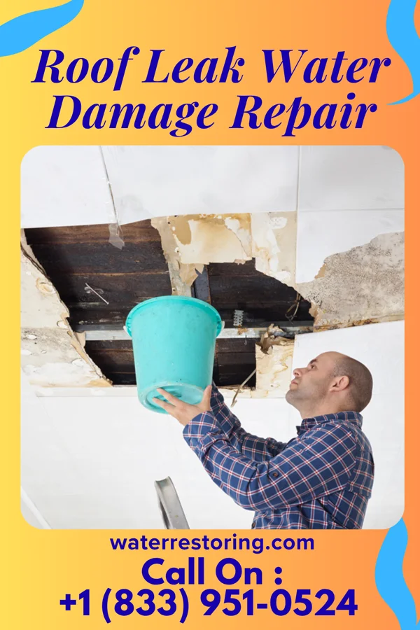 Roof Leak Water Damage Repair in Iuka, MS