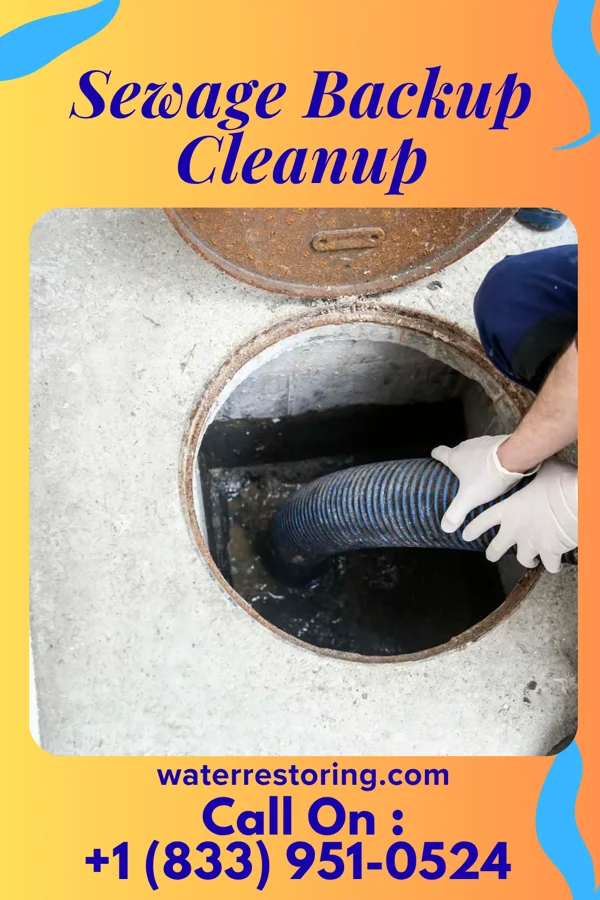 Sewage Backup Cleanup in Iuka, MS
